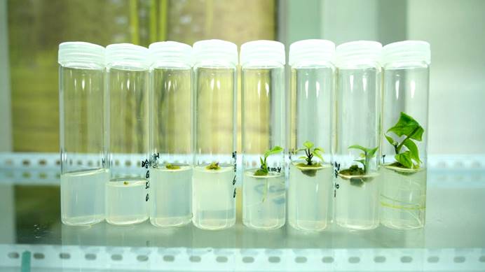 J9����ֱӪ��(�й�)�ٷ���վ