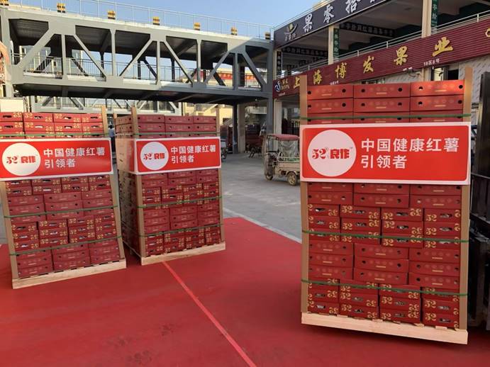 J9����ֱӪ��(�й�)�ٷ���վ