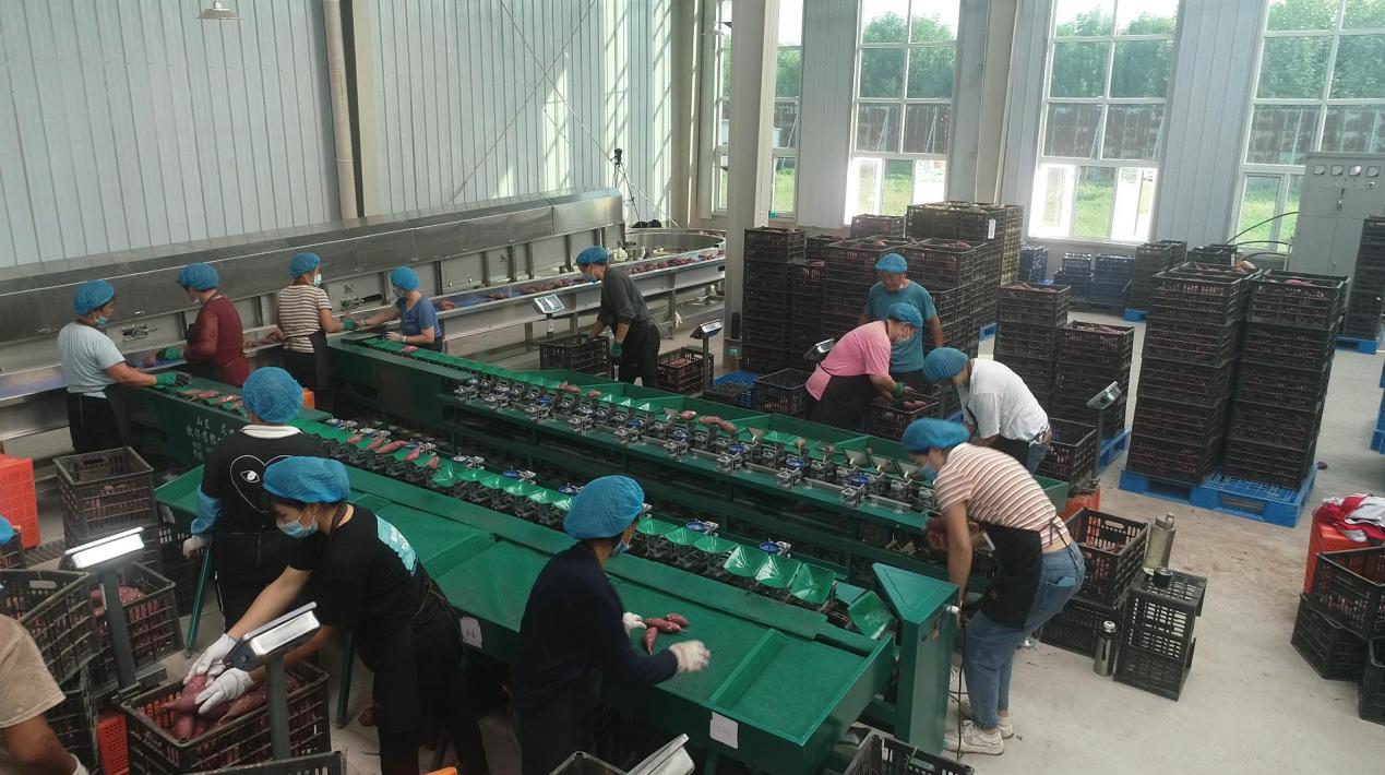 J9����ֱӪ��(�й�)�ٷ���վ