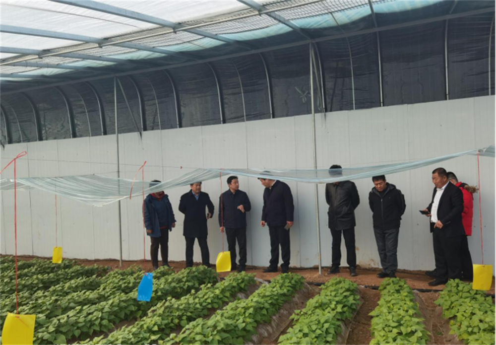 J9����ֱӪ��(�й�)�ٷ���վ