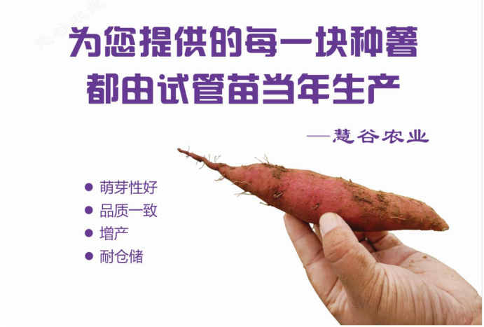 J9����ֱӪ��(�й�)�ٷ���վ