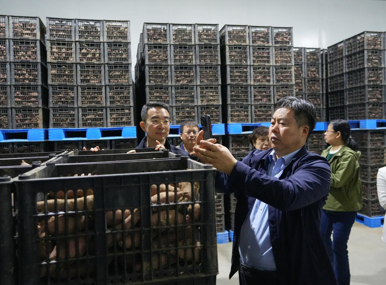 J9����ֱӪ��(�й�)�ٷ���վ