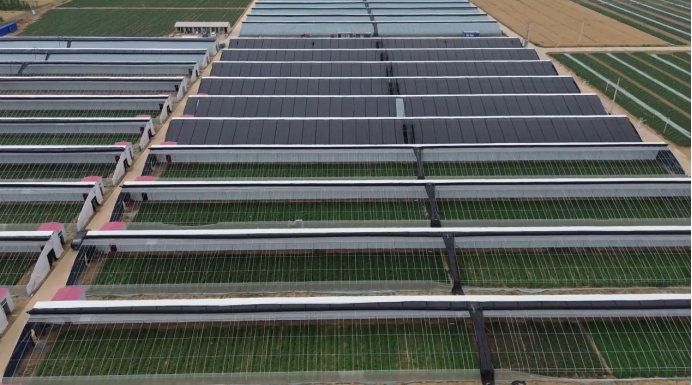 J9����ֱӪ��(�й�)�ٷ���վ