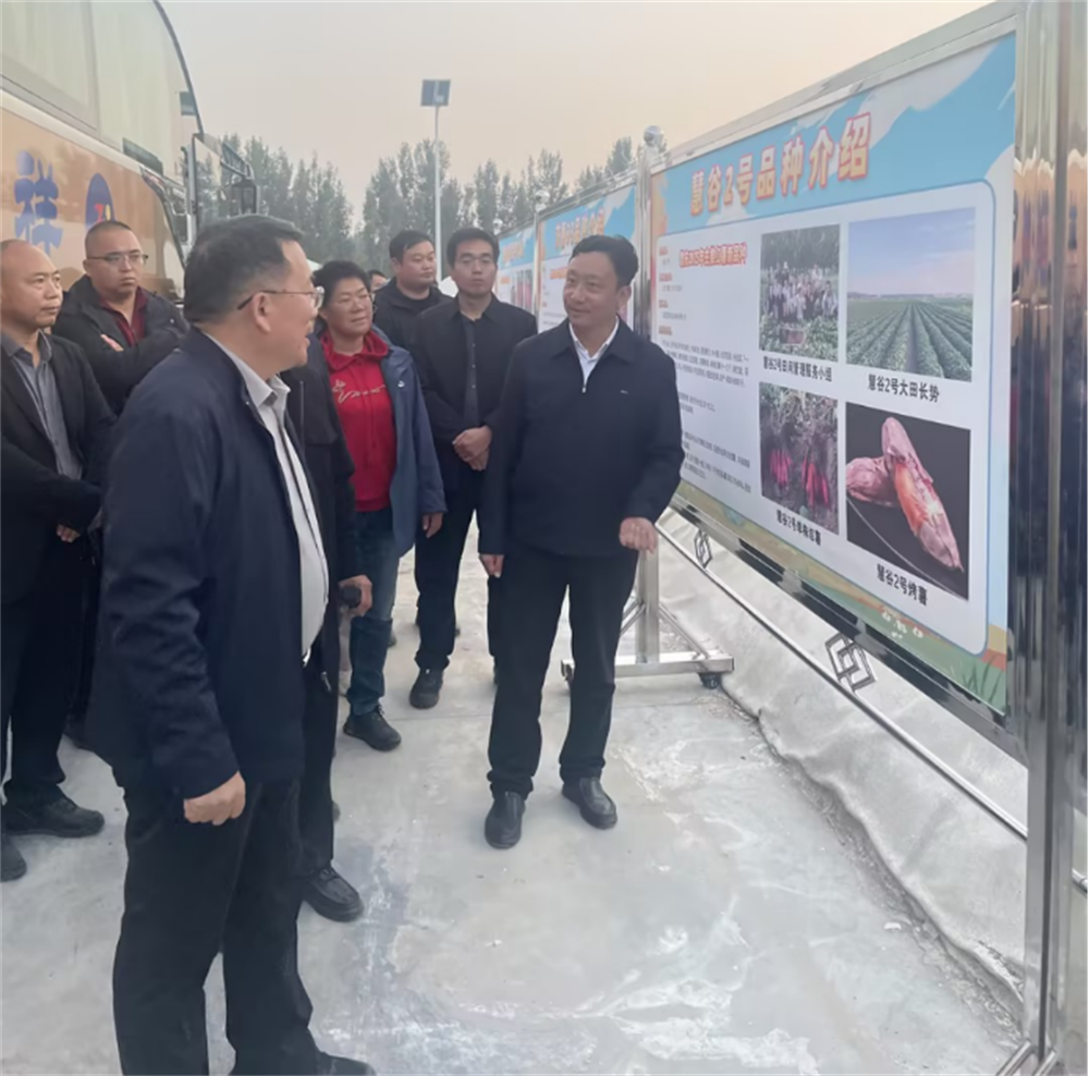 J9����ֱӪ��(�й�)�ٷ���վ