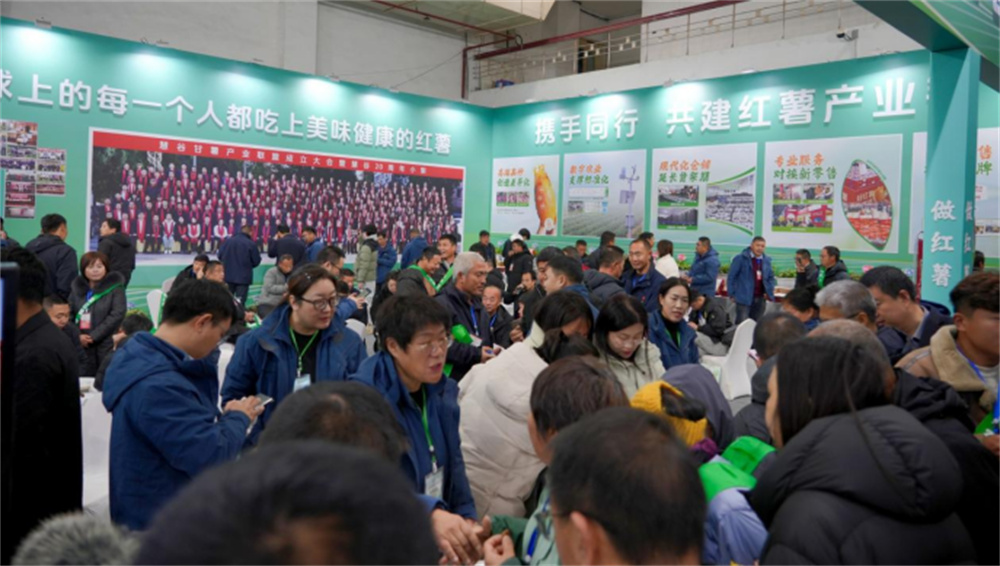 J9����ֱӪ��(�й�)�ٷ���վ