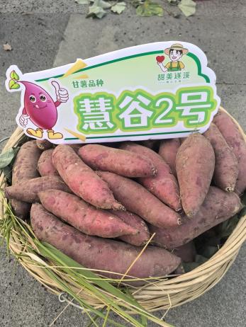 J9����ֱӪ��(�й�)�ٷ���վ