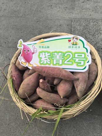J9����ֱӪ��(�й�)�ٷ���վ