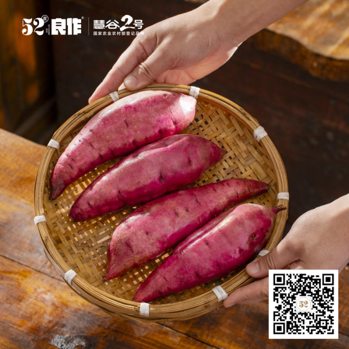 J9����ֱӪ��(�й�)�ٷ���վ