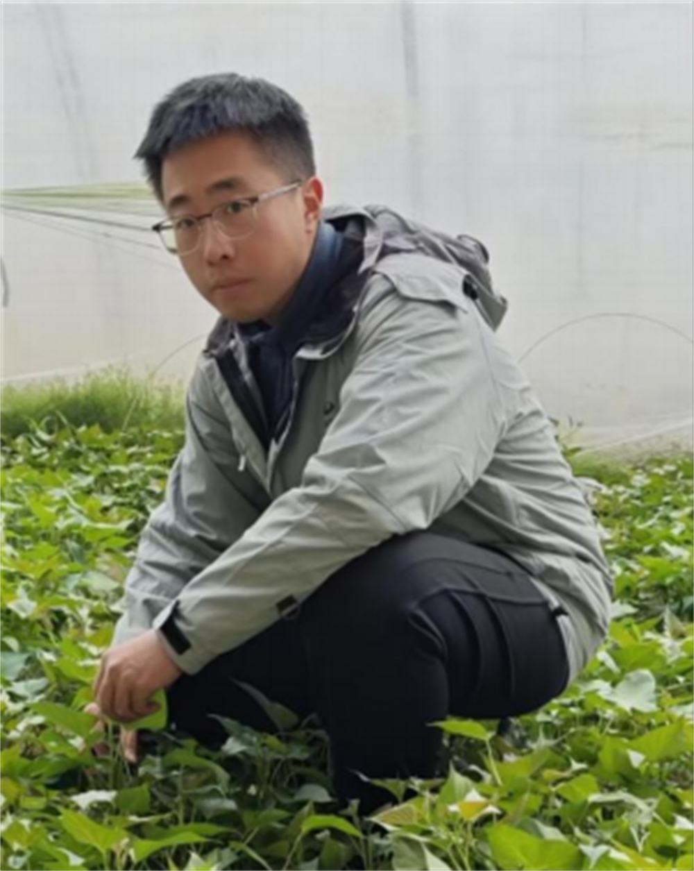 J9����ֱӪ��(�й�)�ٷ���վ