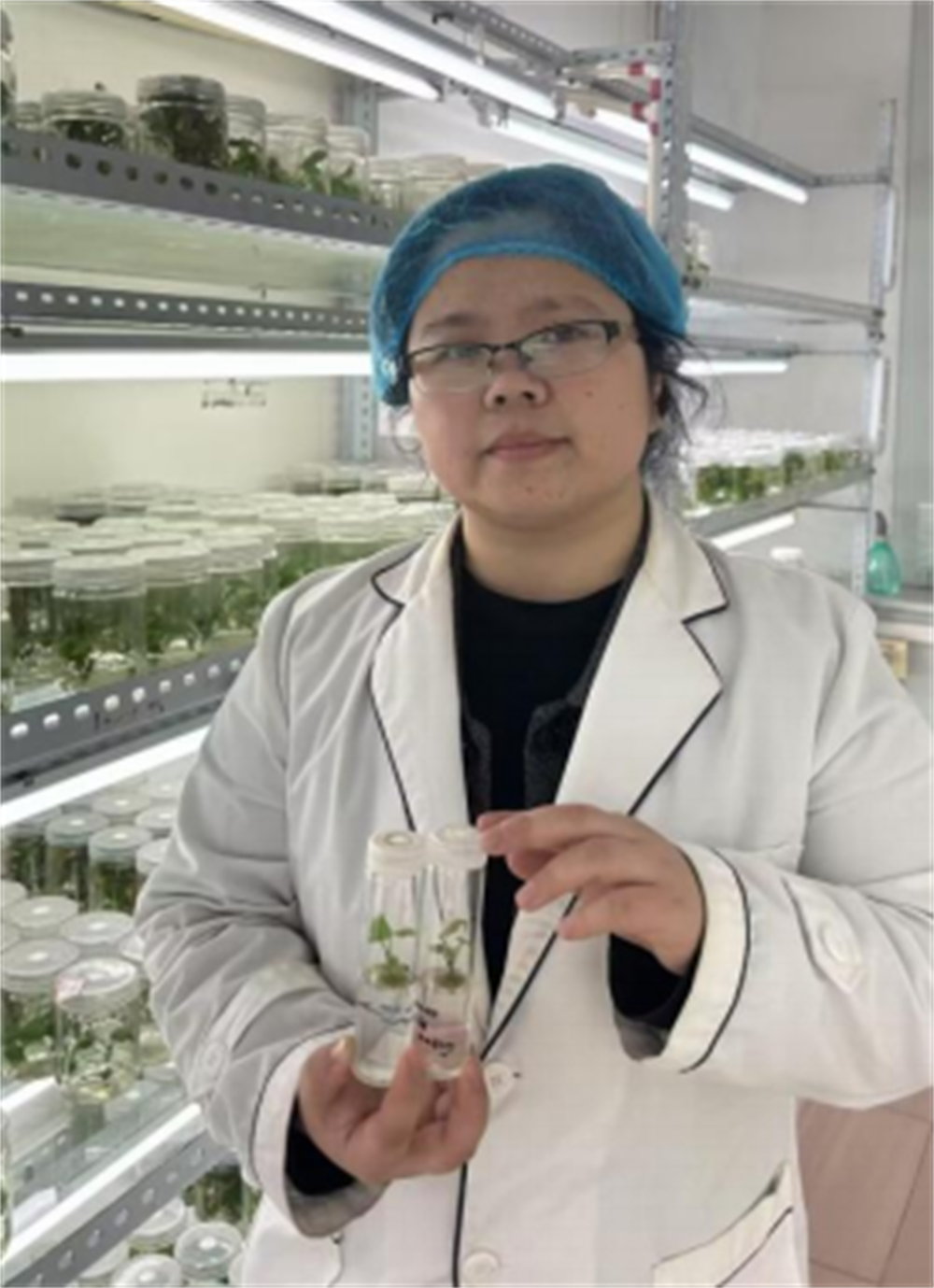 J9����ֱӪ��(�й�)�ٷ���վ