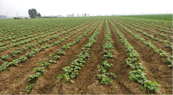 J9����ֱӪ��(�й�)�ٷ���վ