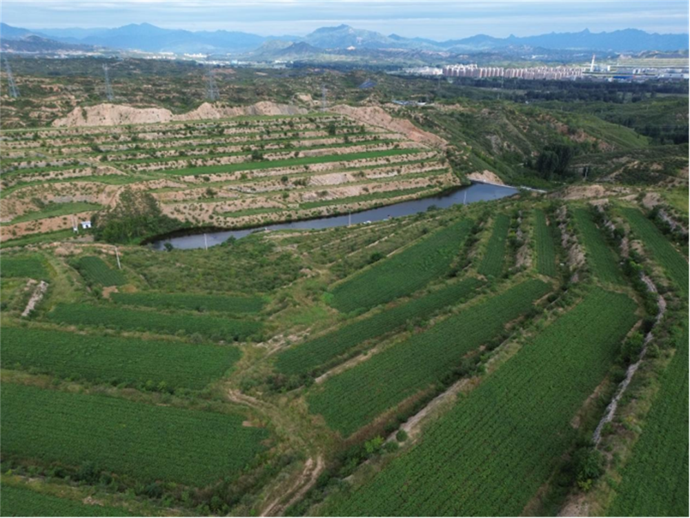 J9����ֱӪ��(�й�)�ٷ���վ