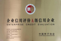 J9����ֱӪ��(�й�)�ٷ���վ