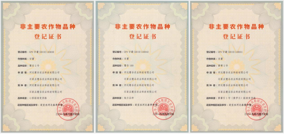 J9����ֱӪ��(�й�)�ٷ���վ