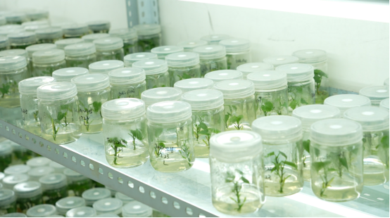 J9����ֱӪ��(�й�)�ٷ���վ