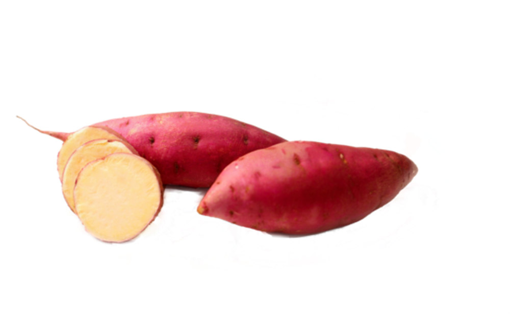 J9����ֱӪ��(�й�)�ٷ���վ