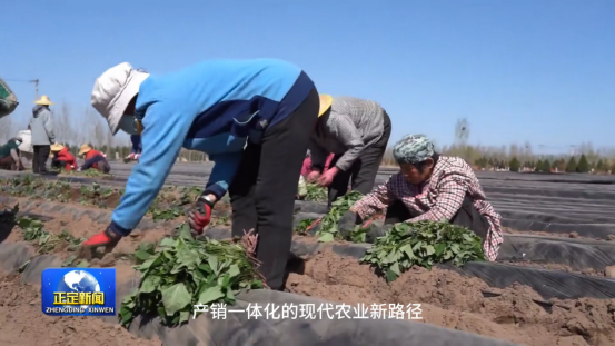 J9����ֱӪ��(�й�)�ٷ���վ