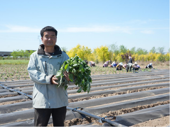 J9����ֱӪ��(�й�)�ٷ���վ