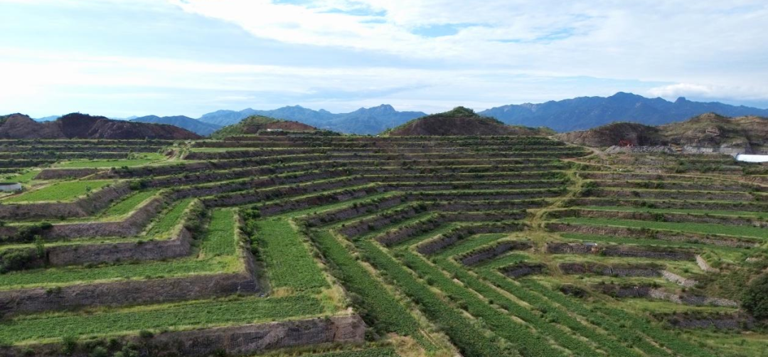 J9����ֱӪ��(�й�)�ٷ���վ