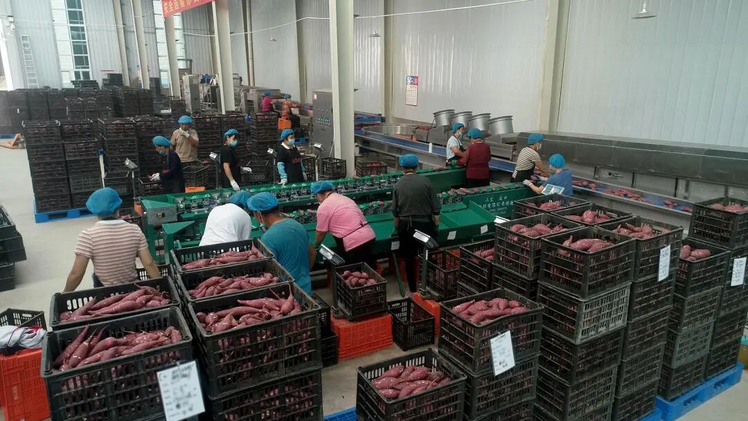 J9����ֱӪ��(�й�)�ٷ���վ