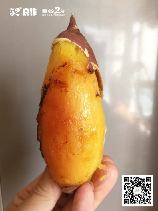 J9����ֱӪ��(�й�)�ٷ���վ