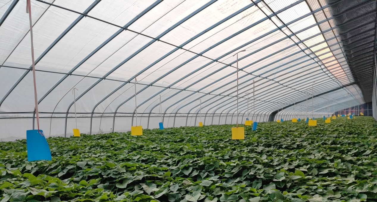 J9����ֱӪ��(�й�)�ٷ���վ