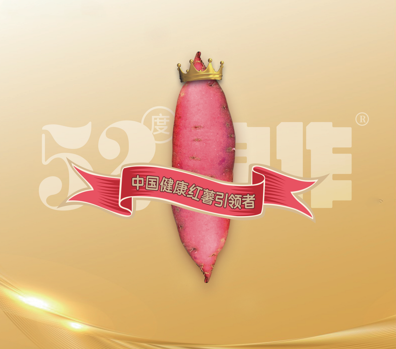 J9����ֱӪ��(�й�)�ٷ���վ