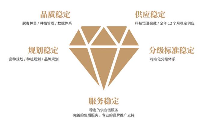 J9����ֱӪ��(�й�)�ٷ���վ