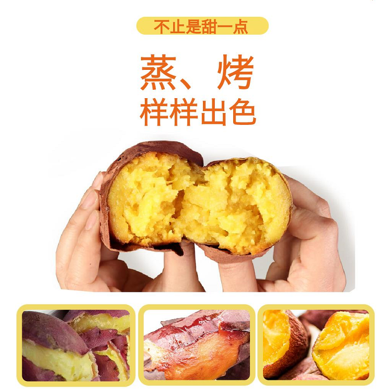 J9����ֱӪ��(�й�)�ٷ���վ