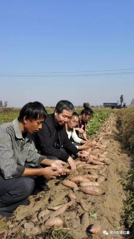 J9����ֱӪ��(�й�)�ٷ���վ