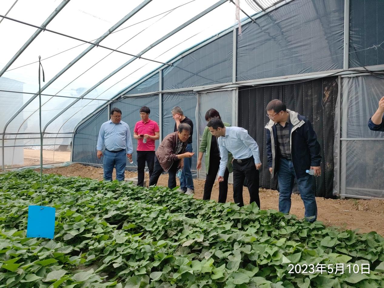 J9����ֱӪ��(�й�)�ٷ���վ