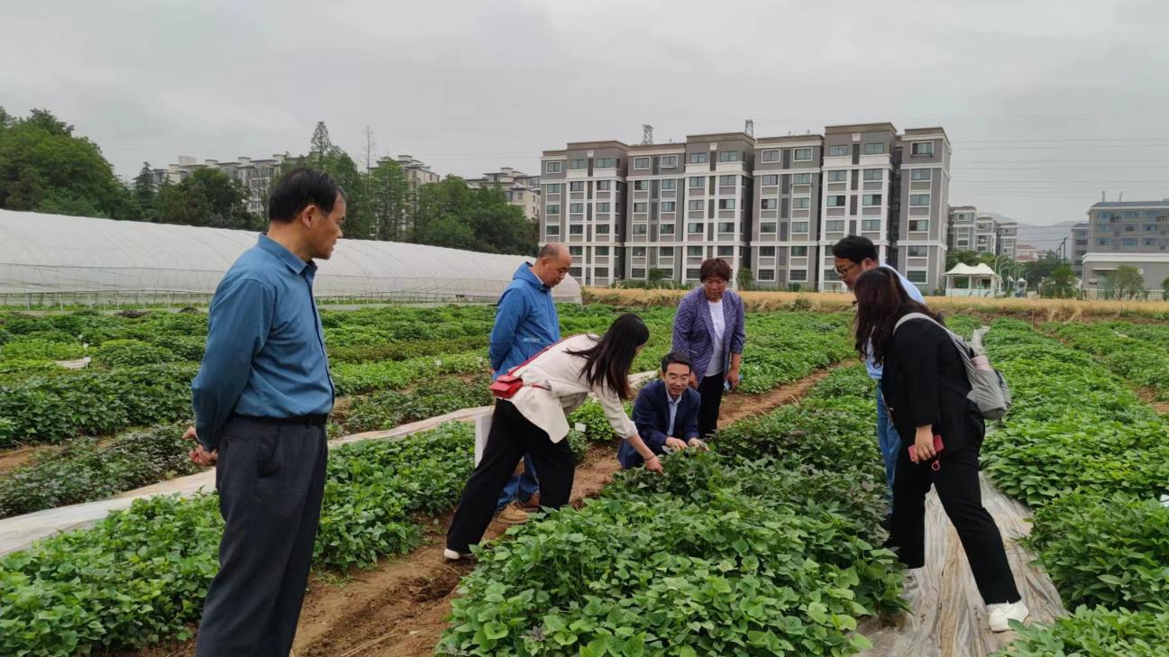 J9����ֱӪ��(�й�)�ٷ���վ