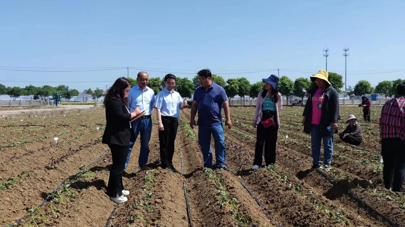 J9����ֱӪ��(�й�)�ٷ���վ